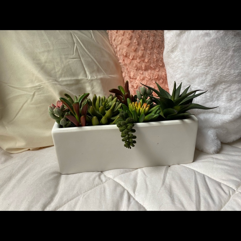 Fake Decorative Plant
